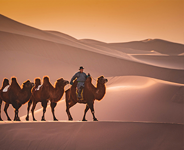 Magical golden Gobi and Orkhon valley tour