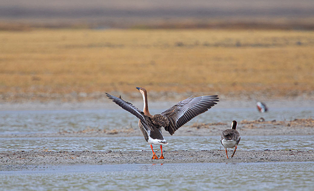 Galuut Valley - Valley of Goose