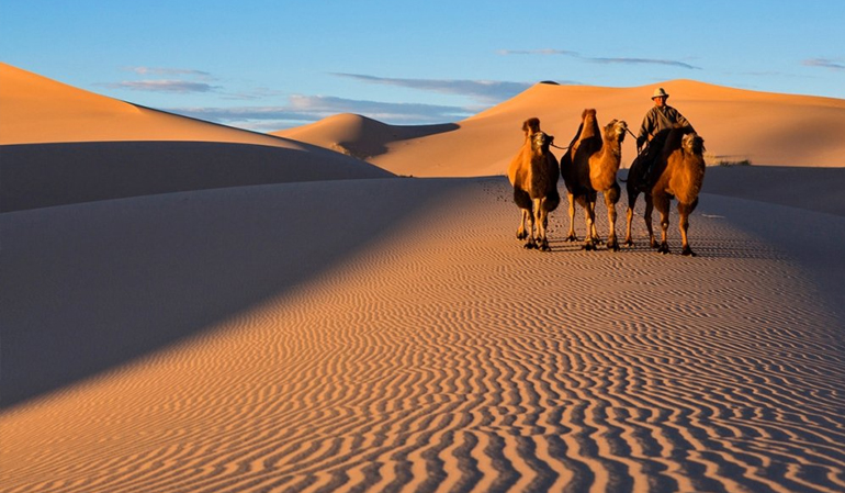 Mongolian Gobi